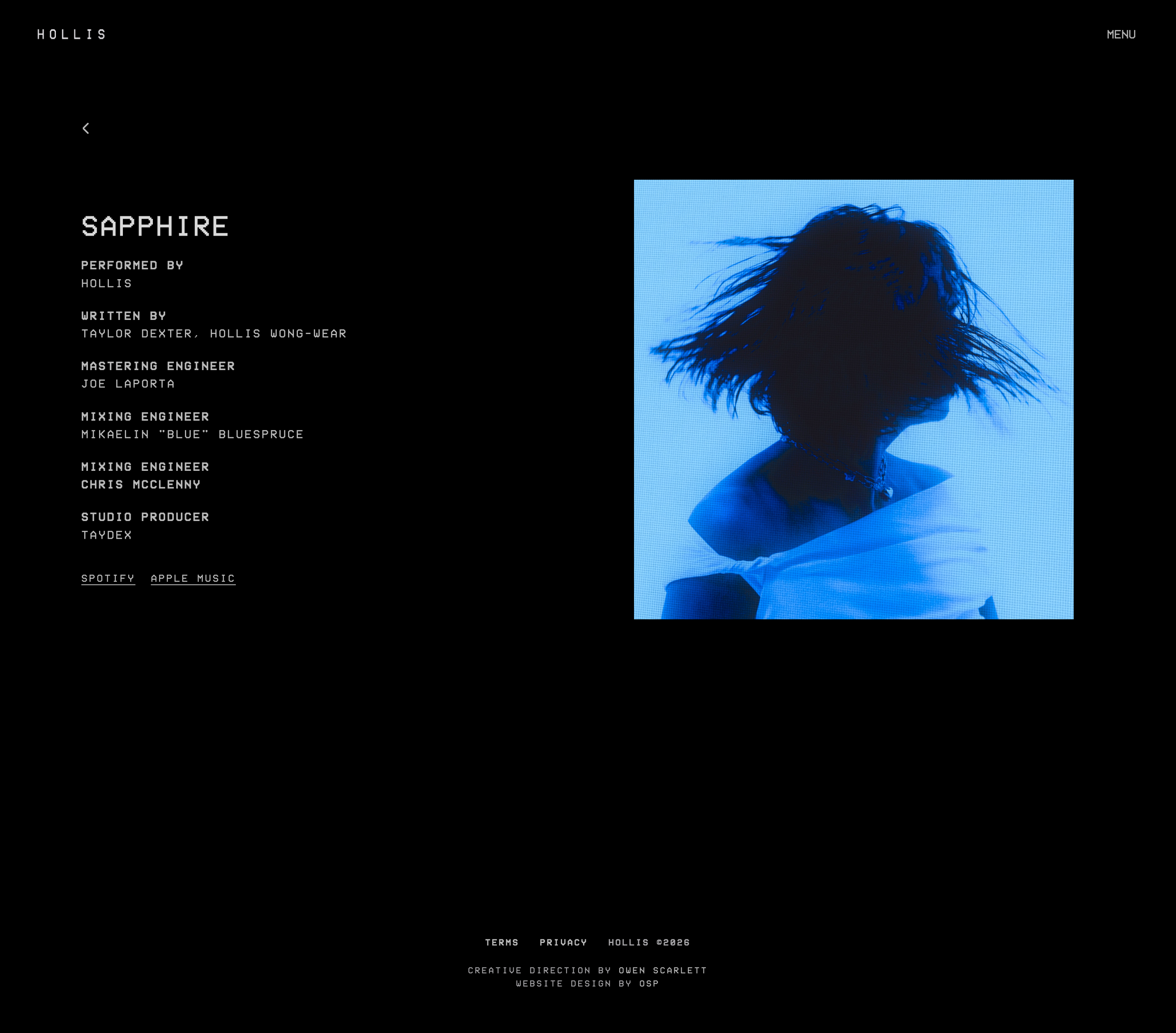 Desktop interface 3 for HOLLIS — Artist Website