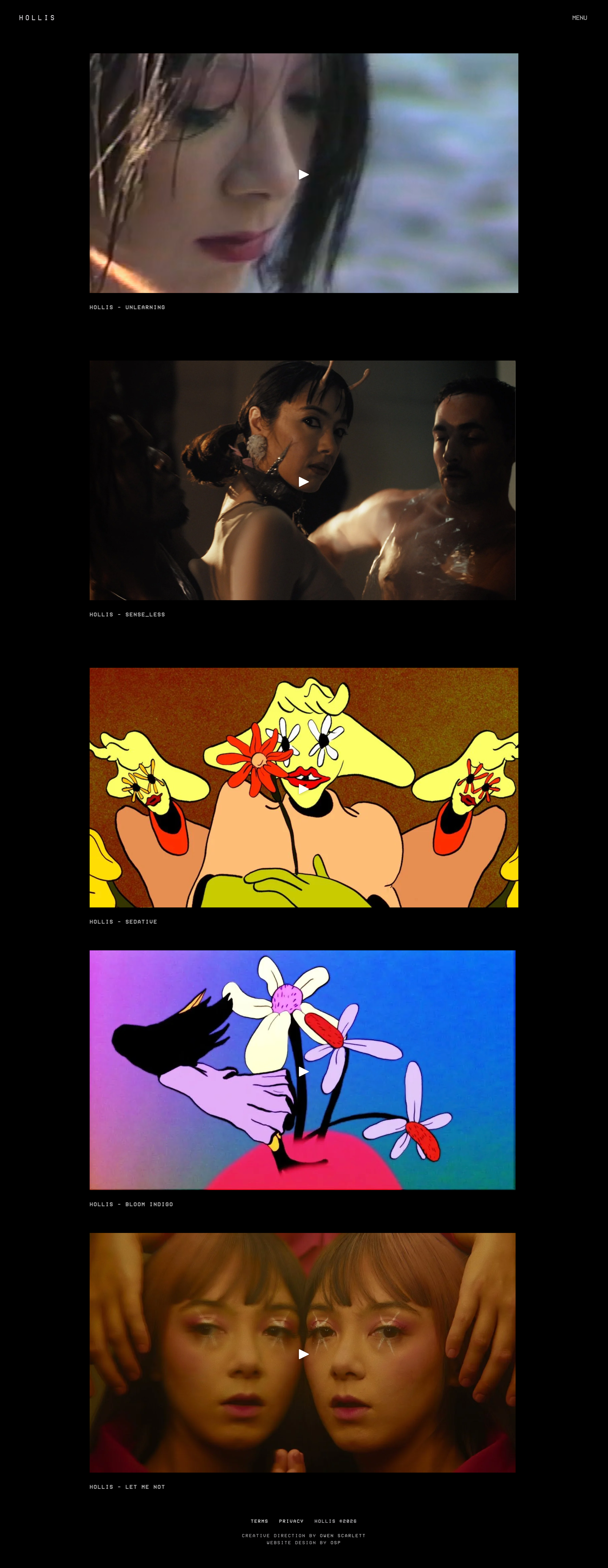 Desktop interface 4 for HOLLIS — Artist Website